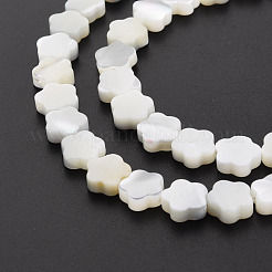 天然トロチッドシェル/トロカスシェルビーズ連売り  花  ホワイト  7.5x8x3mm  穴：0.8mm  約50個/連  15.35インチ〜15.75インチ（39cm〜40cm）&nbsp;SSHEL-T014-43B-02