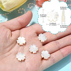 ナチュラルホワイトシェルビーズ5個。  シーシェルビーズ  花  ホワイト  11.5x12x3mm  穴：0.9mm&nbsp;BSHE-CJ0001-11