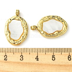 Ion Plating(IP) 304 Stainless Steel Pave Shell Pendants&nbsp;FIND-Z028-09G