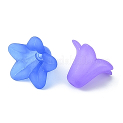 DIY フラワー イヤリング メイキング キット  アクリルとプラスチックのイミテーションパールビーズを含む  アイアン製ピアスフック  真鍮製アズキチェーン  ミックスカラー&nbsp;DIY-FS0004-15