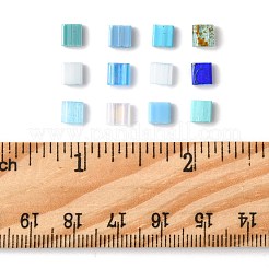 100Pcs 12 Styles 2-Hole Glass Seed Beads&nbsp;SEED-FS0001-44