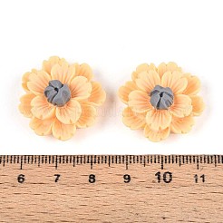 Resin Decoden Cabochons&nbsp;CRES-T025-04B