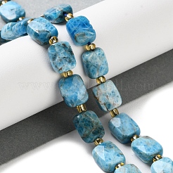Natural Apatite Beads Strands&nbsp;G-H061-A04-01