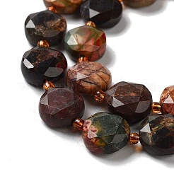 Natural Polychrome Jasper/Picasso Stone/Picasso Jasper Beads Strands&nbsp;G-NH0004-010