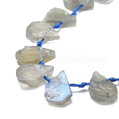 Raw Rough Natural Labradorite Beads Strands&nbsp;G-E576-21