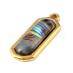 Paua Shell Pendants&nbsp;SSHEL-B145-01A-G