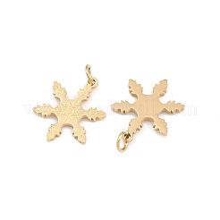 304 Stainless Steel Charms&nbsp;STAS-H241-32G