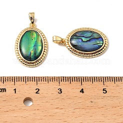 Natural Paua Shell Oval Pendants&nbsp;KK-G538-24G