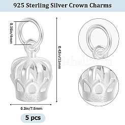 5Pcs 925 Sterling Silver Charms&nbsp;STER-BBC0002-19
