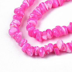 Natural Freshwater Shell Beads Strands&nbsp;SHEL-N003-23-B05