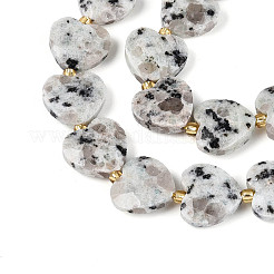 Natural Sesame Jasper Beads Strands&nbsp;G-P592-B15-01