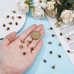 120Pcs Natural Mixed Gemstone Round Charms&nbsp;G-HS0001-06