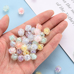 Transparent Acrylic Beads&nbsp;X-TACR-T024-06B