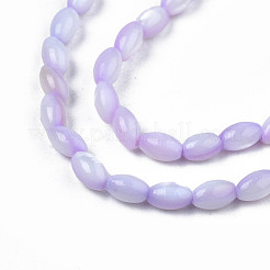 Natural Freshwater Shell Beads Strands&nbsp;SHEL-N003-25-B04