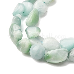 Natural Glass Beads Strands&nbsp;G-K395-A02-02