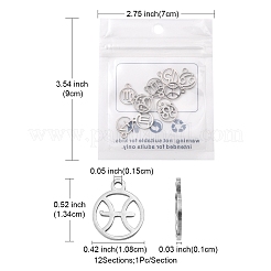 12Pcs 12 Style 201 Stainless Steel Charms&nbsp;STAS-YW0001-33