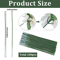 鉄製の茎の花の棒100本  プラスチック製のパーツと  造花ブーケサポート用  グリーン  205x2mm&nbsp;AJEW-SP0003-73C