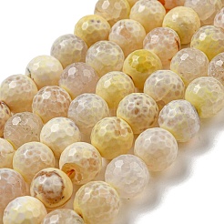 Faceted Natural Fire Crackle Agate Beads Strands&nbsp;G-F447-12mm-H02