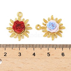 合金樹脂チャーム  太陽と花  ゴールドカラー  ミックスカラー  21.5x18.5x6mm  穴：1.6mm&nbsp;PALLOY-S056-01G