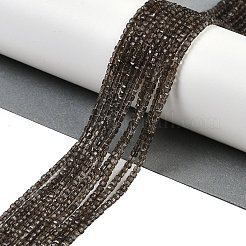 Natural Smoky Quartz Beads Strands&nbsp;G-P553-E06-01