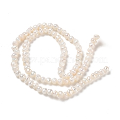 天然養殖淡水パールビーズ連売り  グレードa ++  ポテト  ベージュ  3~4mm  穴：0.3mm  約98~99個/連  13.19~13.27''（33.5~33.7センチメートル）&nbsp;PA-CBAC463-37