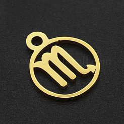 201 Stainless Steel Charms&nbsp;STAS-T014-LA111-8