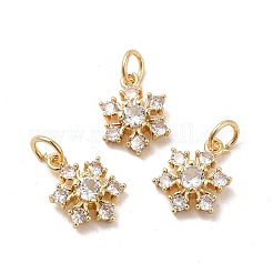 Rack Plating Brass Micro Pave Cubic Zirconia Pendants&nbsp;KK-E081-16G