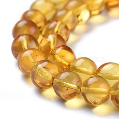 Natural Amber Beads Strands&nbsp;G-K308-C01-6mm