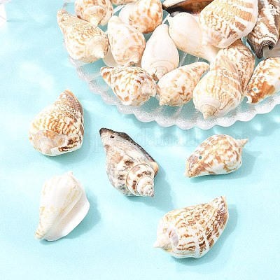 Natural Conch Shell Beads&nbsp;BSHE-O007-57-1