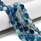 Natural Dragon Veins Agate Beads Strands, Dyed & Heated, Twist, Marine Blue, 12x8x8mm, Hole: 1.2mm, about 33pcs/strand, 16.34''(41.5cm)