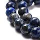 Natural Lapis Lazuli Round Bead Strands&nbsp;G-E262-01-8mm-2