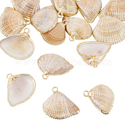 15Pcs Natural Shell Pendants&nbsp;BSHE-TA0001-26