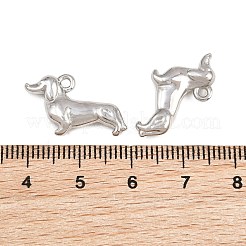 304 Stainless Steel Pendants&nbsp;STAS-L022-590P
