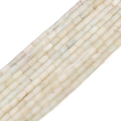 Natural Flower Amazonite Beads Strands&nbsp;GG-CBAED3F-A02