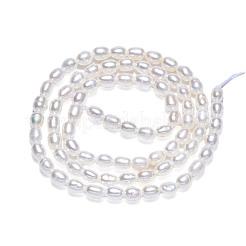 天然養殖淡水パールビーズ連売り  ライス  貝殻色  4.5~5x3~4mm  穴：0.7mm  約68~69個/連  14.17インチ（36cm）&nbsp;PEAR-N012-03F