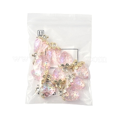 10Pcs Transparent Acrylic Pendants&nbsp;MACR-FS0002-08B