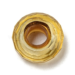 Glass European Beads&nbsp;GLAA-XCP0001-43D