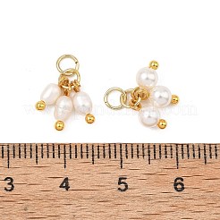 4Pcs 4 Styles Shell Pearl and Natural Pearl Pendants&nbsp;PALLOY-JF05632