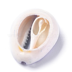 天然カウリーシェルビーズ  穴なし/ドリルなし  混合スタイル  ミックスカラー  13.5~28.5x8~18x5~13.5mm&nbsp;BSHE-XCP0001-04