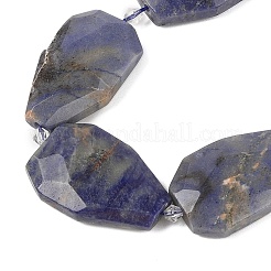 Natural Sodalite Beads Strands&nbsp;G-P548-B24-01