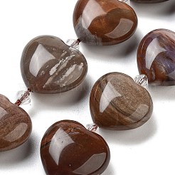 天然石ペトリファイドウッドビーズ連売り  ハート  シードビーズで  19~19.5x20x10mm  穴：1.5mm  約17個/連  15.75インチ（40cm）&nbsp;G-C150-A08-01