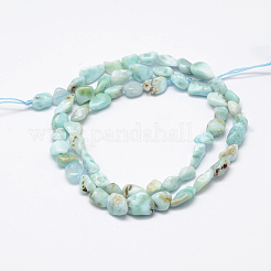 Natural Larimar Beads Strands&nbsp;X-G-F521-35