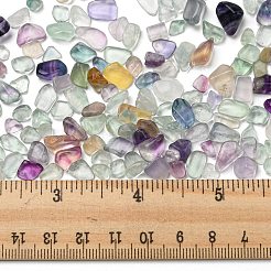 ナチュラルグリーン蛍石チップビーズ  穴なし/ドリルなし  2~12x2~10x1~3mm&nbsp;X-G-M364-06