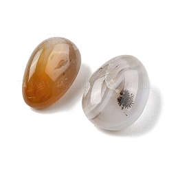 Natural Ocean Jasper Beads&nbsp;G-G348-01B-38