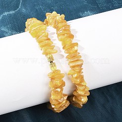 天然琥珀チップビーズネックレス  真鍮の留め金付き  19.76インチ（50.2cm）&nbsp;NJEW-L466-03C