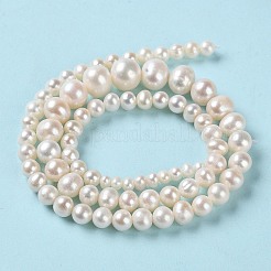 天然養殖淡水パールビーズ連売り  グラデーションラウンド  パパイヤホイップ  4~11x3~10mm  穴：0.5mm  約77個/連  15.87''（40.3センチメートル）&nbsp;PEAR-E018-67