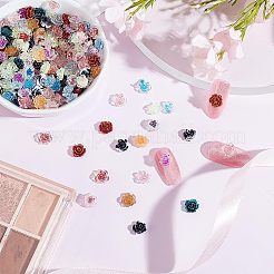 240Pcs 12 Style Camellia Transparent Resin Cabochons&nbsp;MRMJ-OC0003-41