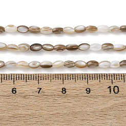 Natural Freshwater Shell Beads Strands&nbsp;SHEL-K006-78B
