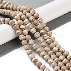 Natural Rainbow Alashan Agate Beads Strands&nbsp;G-NH0022-A10-02