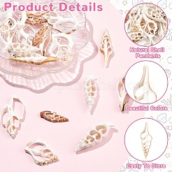 18Pcs 6 Styles Natural Shell Big Pendants&nbsp;BSHE-YW0001-20